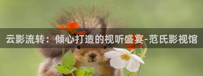 青苹果的影院：云影流转：倾心打造的视听盛宴-范氏影视馆